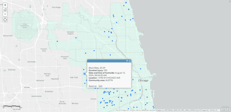 Tracking Chicago Homicides In 2024: Number Of Victims And Location