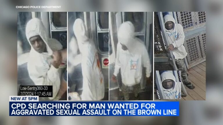 Chicago Crime: Man Wanted For Sexual Assault On Chicago's Brown