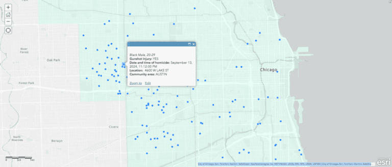 Tracking Chicago Homicides In 2024: Number Of Victims And Location