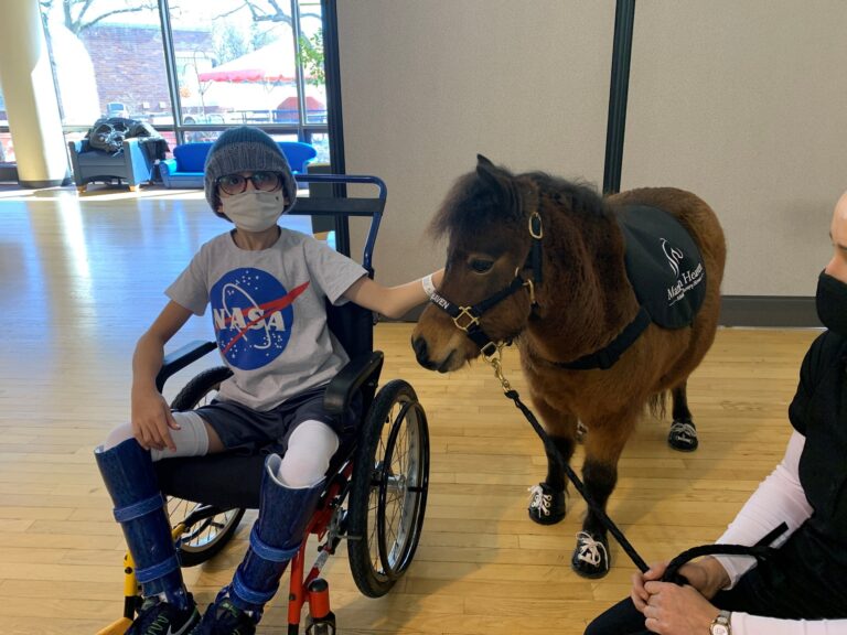 Animal Therapy Chicago Health