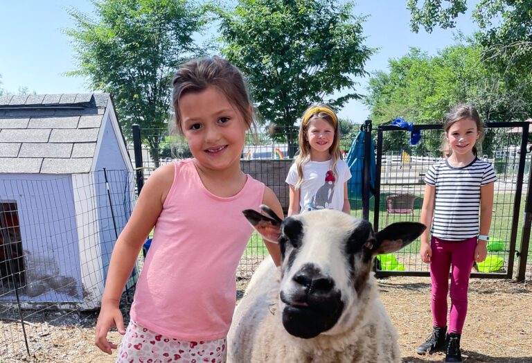 Best Family Fun Farms In Chicago