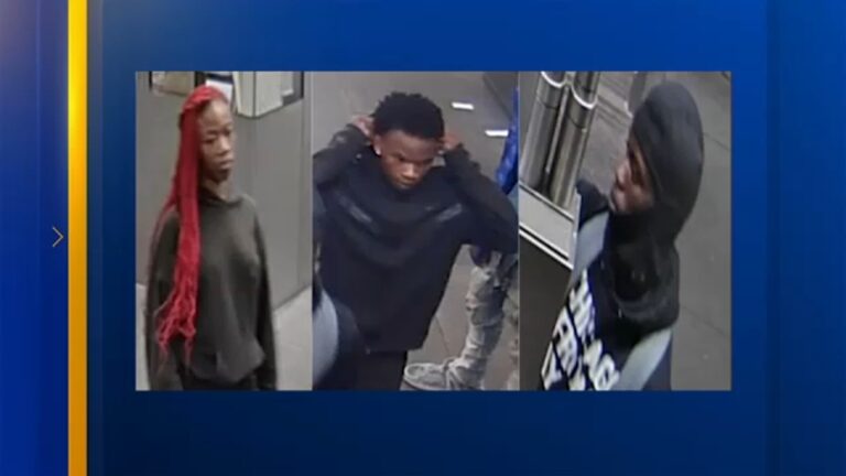 Chicago Crime: Woman Beaten On Cta 47th Red Line Station