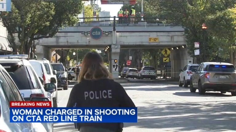 Chicago Crime: India Smith Charged In Shooting Man On Cta