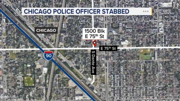 A Chicago Police Officer Was Stabbed While Arresting A Suspect