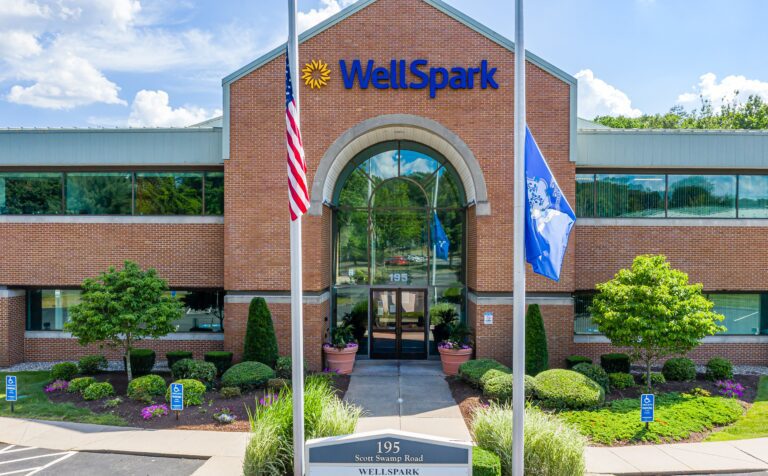 Farmington Based Wellspark Health Has Been Sold To A Chicago Company