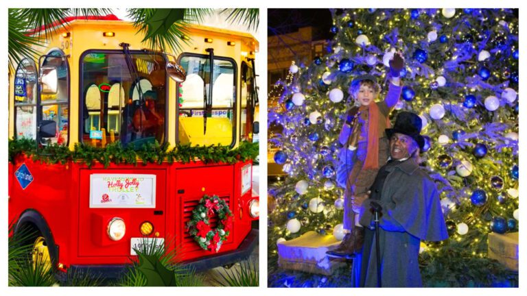 Holiday Floats, Saturday Small Businesses, Tree Lightings And More