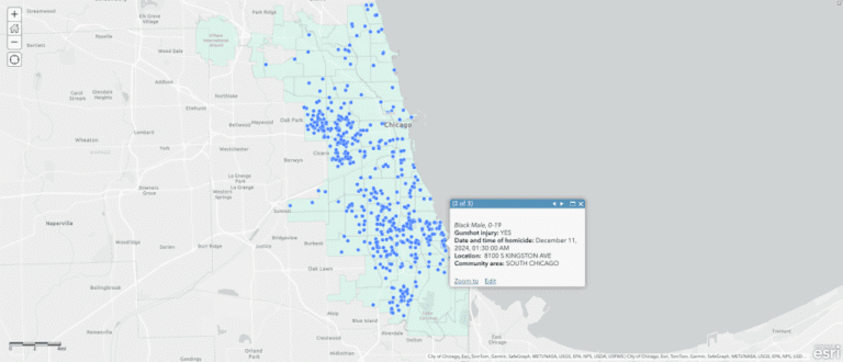 Tracking Chicago Homicides In 2024: Number Of Victims And Location