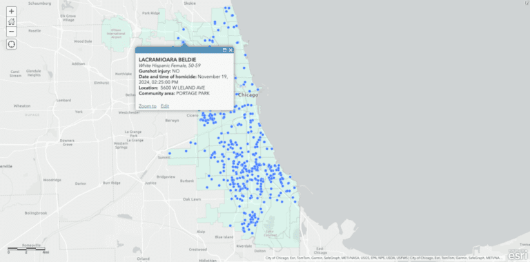 Tracking Chicago Homicides In 2024: Number Of Victims And Location