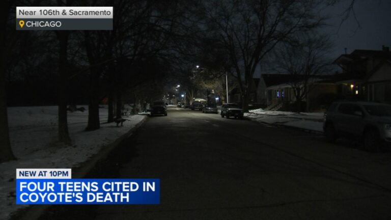 Chicago Crime: 4 Teens Charged In Coyote Death On South